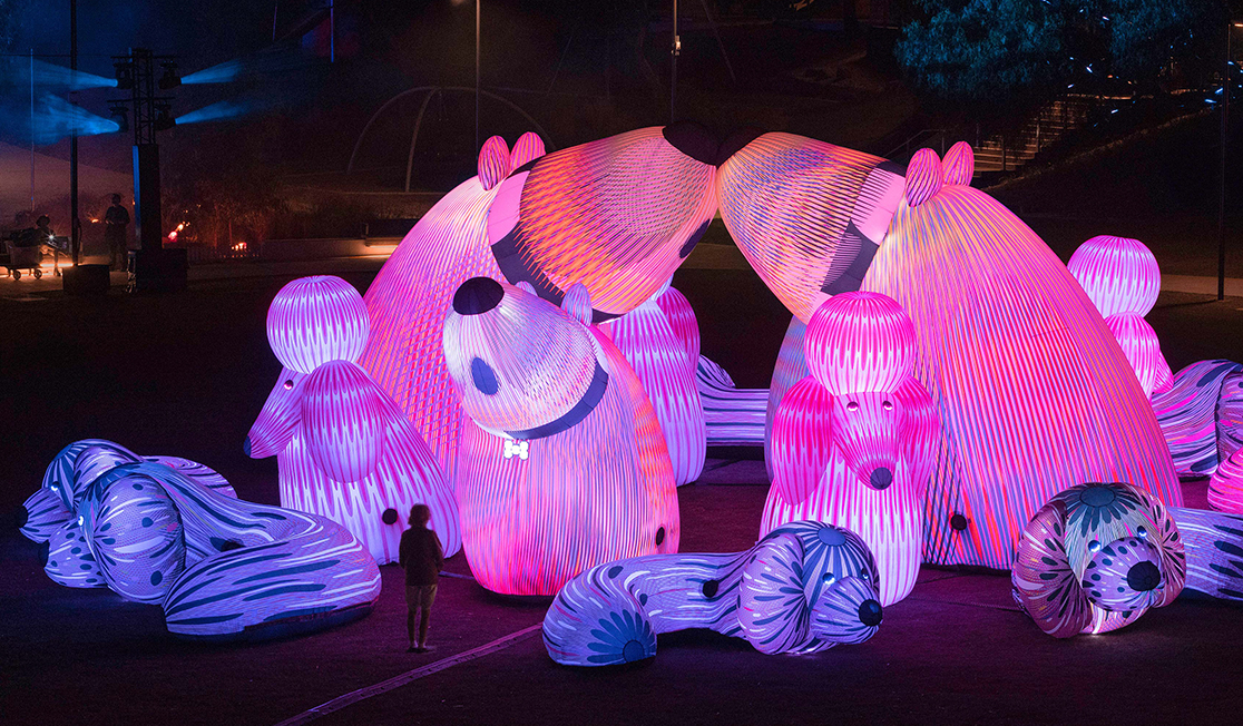 Brightly coloured pink and purple giant inflatable dogs are shown in a dark park.  There are poodle shaped dogs and sausage dogs, some of them are howling.