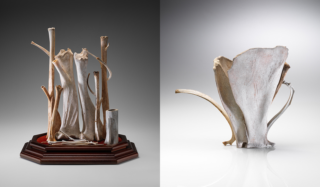 Left: A wooden stand is a base to large bones standing vertically on a grey backdrop. Right: Bones are arranged to form the shape of a jug on a white backdrop.