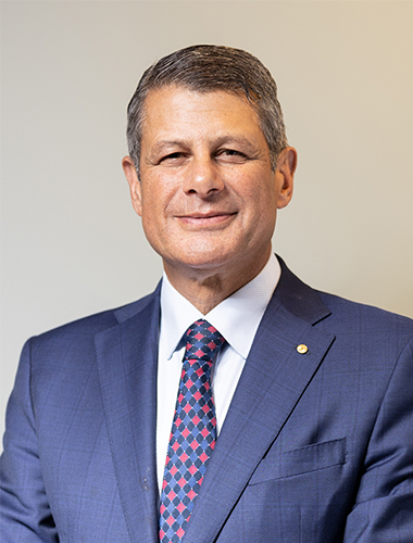 Steve Bracks image