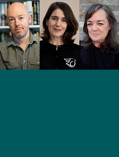 The Irish Question image