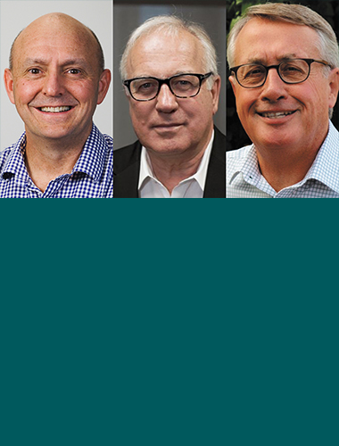 Big: The Role of Government image